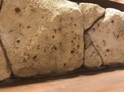  吹田市 琉球diningあしびな〜様  ファサード モルタル造形 琉球石灰岩
